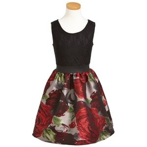 SALE BLUSH BY US ANGELS Girls Lace & Brocade Dress